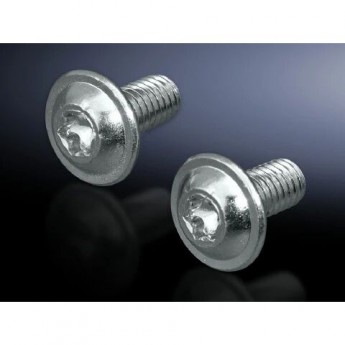 Винты RITTAL SZ со шлицем Torx M 147248