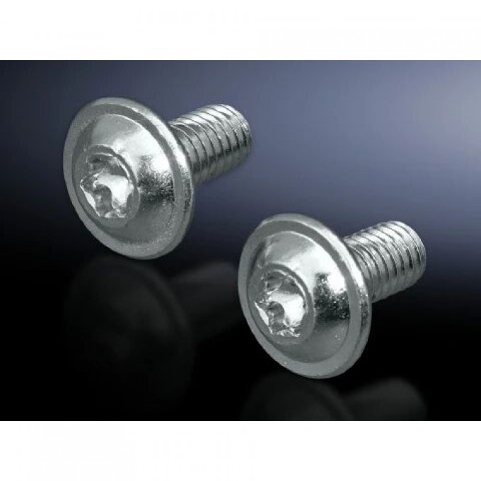 Винты RITTAL SZ со шлицем Torx M8x12, стальные, 300 шт 217781