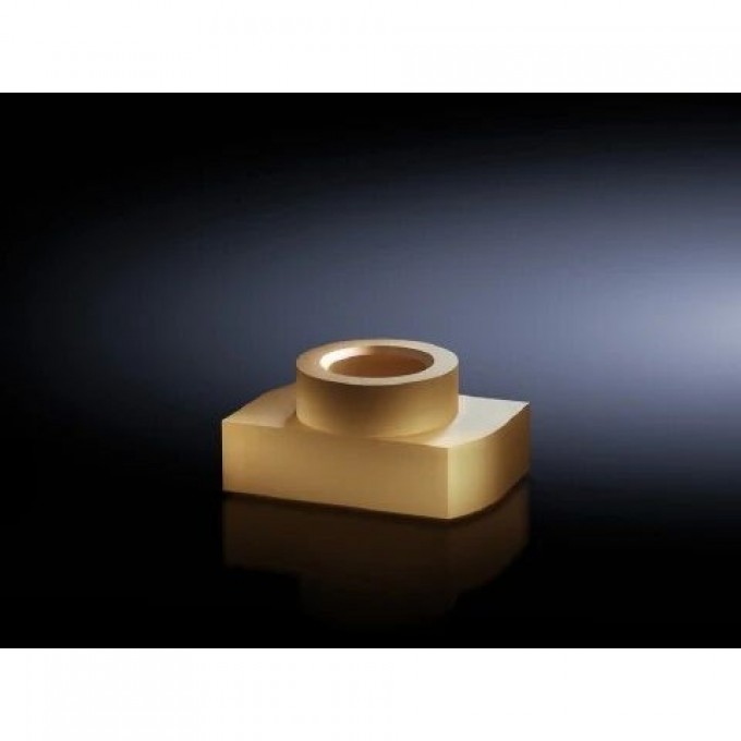 Скользящие гайки RITTAL Maxi-PLS M8 298196